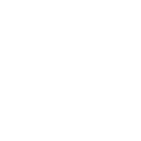 Anero Grupp Turvateenused Logo